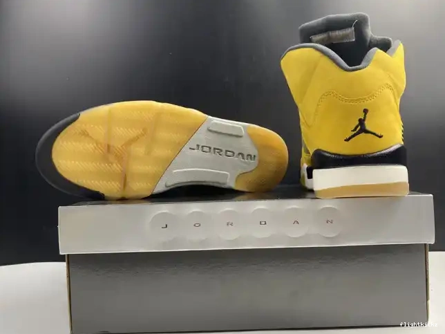 Jordan Air Retro T23 Tokyo 454783-701 5 0608